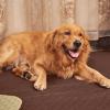 imageNICETOWN 100 Waterproof Dog Blanket Sofa Covers Couch Cover for Pets Cats Furniture Protector Dog Travel Bed Reversible Washable Mat for Car Floor 82quot W x 82quot L 1 Panel BeigeKhakiChocolateSand