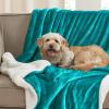 imageNICETOWN Halloween Twin Fleece Plush Blanket Fashion Fuzzy Gifts for Family Soft Lightweight Fluffy Fleece Plush Couch Blankets for Living RoomBedroomSofa 60 x 80 inches BlackTeal