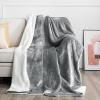 imageNICETOWN Halloween Twin Fleece Plush Blanket Fashion Fuzzy Gifts for Family Soft Lightweight Fluffy Fleece Plush Couch Blankets for Living RoomBedroomSofa 60 x 80 inches BlackLight Grey