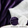 imageNICETOWN Halloween Twin Fleece Plush Blanket Fashion Fuzzy Gifts for Family Soft Lightweight Fluffy Fleece Plush Couch Blankets for Living RoomBedroomSofa 60 x 80 inches BlackPurple