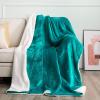 imageNICETOWN Halloween Twin Fleece Plush Blanket Fashion Fuzzy Gifts for Family Soft Lightweight Fluffy Fleece Plush Couch Blankets for Living RoomBedroomSofa 60 x 80 inches BlackTeal