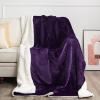 imageNICETOWN Halloween Twin Fleece Plush Blanket Fashion Fuzzy Gifts for Family Soft Lightweight Fluffy Fleece Plush Couch Blankets for Living RoomBedroomSofa 60 x 80 inches BlackPurple