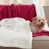 imageNICETOWN Halloween Twin Fleece Plush Blanket Fashion Fuzzy Gifts for Family Soft Lightweight Fluffy Fleece Plush Couch Blankets for Living RoomBedroomSofa 60 x 80 inches BlackBurgundy Red