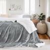 imageNICETOWN Halloween Twin Fleece Plush Blanket Fashion Fuzzy Gifts for Family Soft Lightweight Fluffy Fleece Plush Couch Blankets for Living RoomBedroomSofa 60 x 80 inches BlackLight Grey