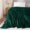 imageNICETOWN Soft Blanket King Size Fleece Warm Fuzzy Throw for BedSofa Lightweight 300GSM Microplush Ultra Warm Blanket 90quot x 108quot GreyForest Green
