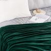 imageNICETOWN Soft Blanket King Size Fleece Warm Fuzzy Throw for BedSofa Lightweight 300GSM Microplush Ultra Warm Blanket 90quot x 108quot GreyForest Green