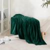 imageNICETOWN Soft Blanket King Size Fleece Warm Fuzzy Throw for BedSofa Lightweight 300GSM Microplush Ultra Warm Blanket 90quot x 108quot GreyForest Green