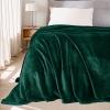 imageNICETOWN Soft Blanket King Size Fleece Warm Fuzzy Throw for BedSofa Lightweight 300GSM Microplush Ultra Warm Blanket 90quot x 108quot GreyForest Green