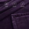 imageNICETOWN Soft Blanket King Size Fleece Warm Fuzzy Throw for BedSofa Lightweight 300GSM Microplush Ultra Warm Blanket 90quot x 108quot GreyPurple