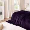 imageNICETOWN Soft Blanket King Size Fleece Warm Fuzzy Throw for BedSofa Lightweight 300GSM Microplush Ultra Warm Blanket 90quot x 108quot GreyPurple