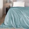 imageNICETOWN Soft Blanket King Size Fleece Warm Fuzzy Throw for BedSofa Lightweight 300GSM Microplush Ultra Warm Blanket 90quot x 108quot GreyStone Blue