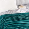 imageNICETOWN Soft Blanket King Size Fleece Warm Fuzzy Throw for BedSofa Lightweight 300GSM Microplush Ultra Warm Blanket 90quot x 108quot GreyTeal