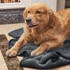 imageNICETOWN Waterproof Dog Blanket Bed Cover Sherpla Fleece Cozy Plush Bed Large Dog Blanket for Couch Sofa Floor Protecting Pet Day for Present 50quot W x 60quot L Light GreyGrey