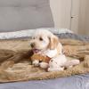 imageNICETOWN Waterproof Dog Blanket Bed Cover Sherpla Fleece Cozy Plush Bed Large Dog Blanket for Couch Sofa Floor Protecting Pet Day for Present 50quot W x 60quot L Light GreyTaupe